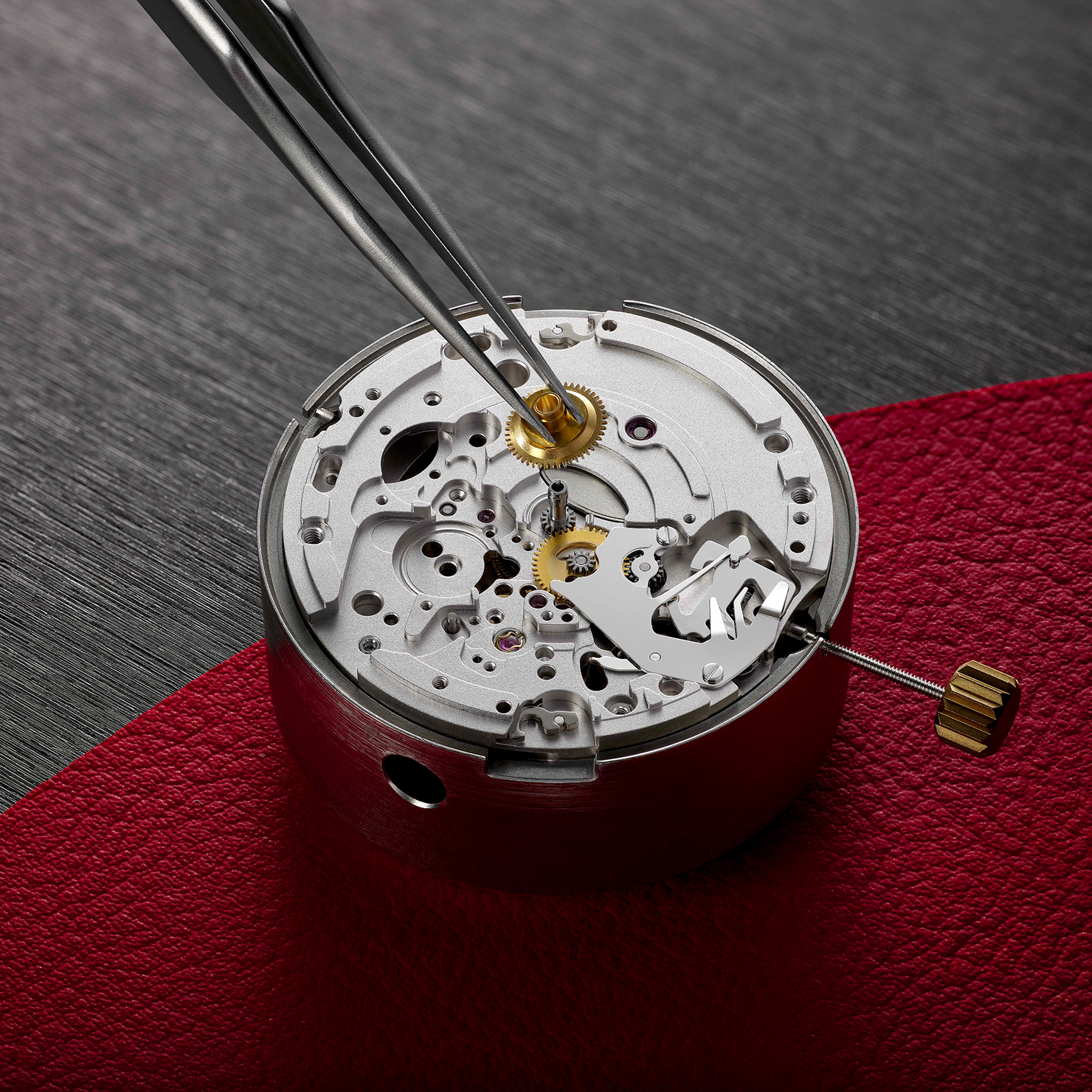 About Tudor Movements - Rivenditore autorizzato Tudor | Zanaboni